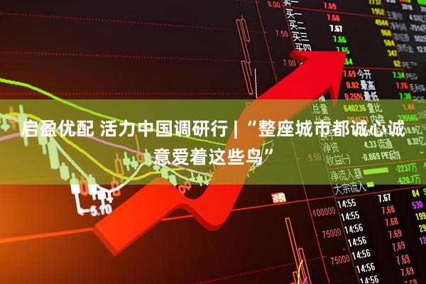 启盈优配 活力中国调研行 | “整座城市都诚心诚意爱着这些鸟”