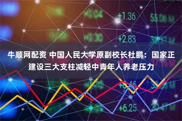 牛顺网配资 中国人民大学原副校长杜鹏：国家正建设三大支柱减轻中青年人养老压力