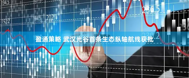 盈通策略 武汉光谷首条生态纵轴航线获批